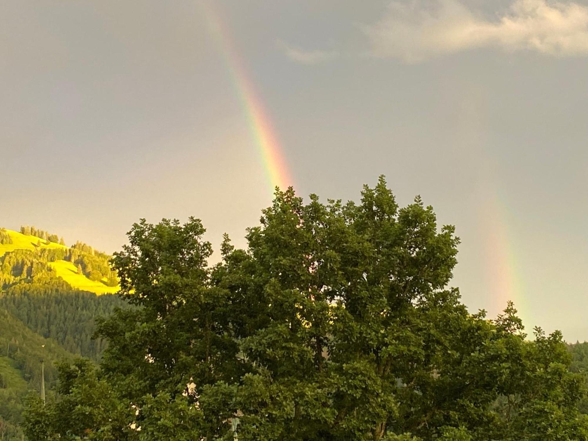 Ferienwohnung Schoenblick Schönau im Schwarzwald Esterno foto